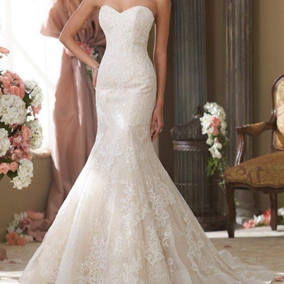 David Tutera Bridal - Picture 1 of 8